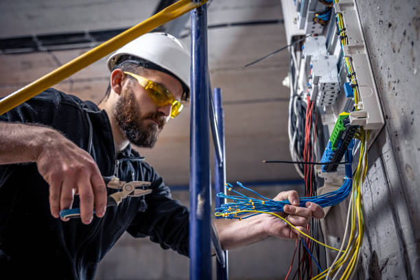 Best Electric Panel Repair  in Winchester, MO